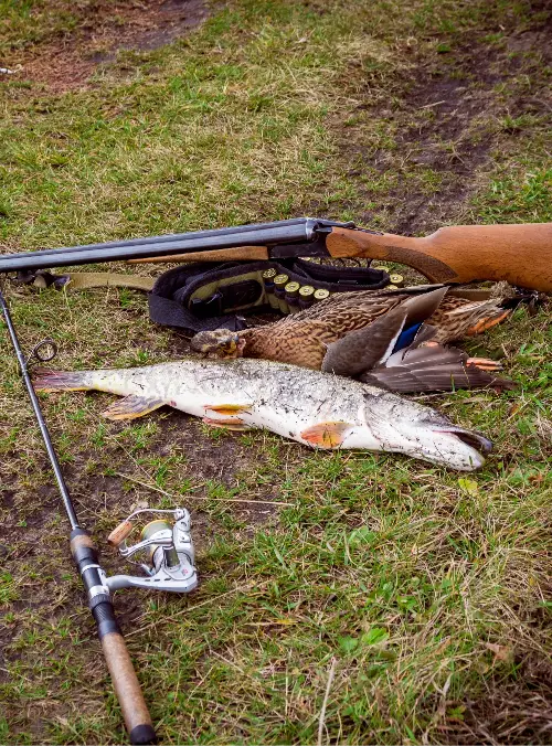 Hunting and fishing gear lying on the ground next to a fish and a bird.