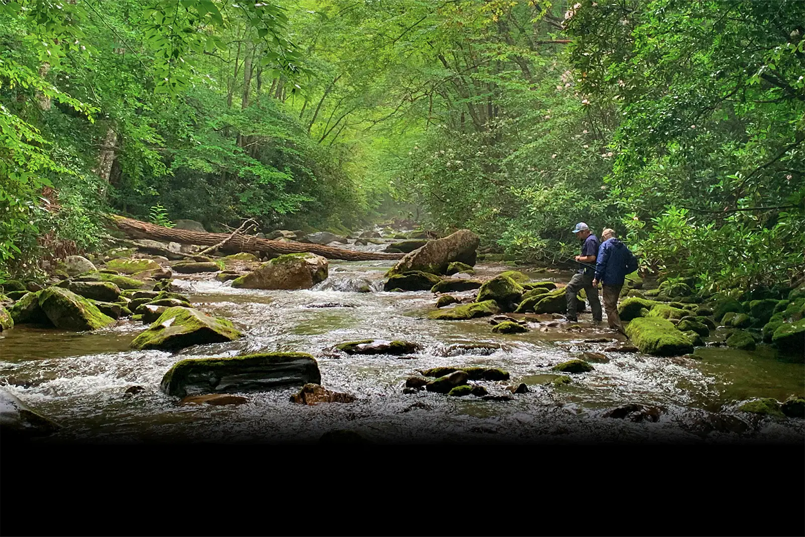 Two people wading through a shallow river carrying fly fishing rods surrounded by green foliage.