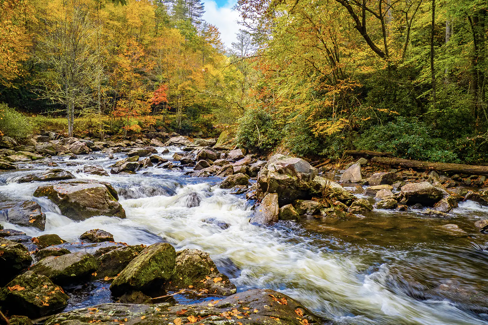 Beautiful landscape of a rushing river in Great Smoky Mountains National Park during the fall season.